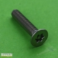 Preview: LIPPERT Torx Senkkopfschraube Edelstahl M4 x 20