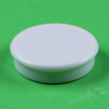 10 Stück weiße runde Haftmagnete 24 mm