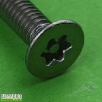 Preview: LIPPERT Torx Senkkopfschraube Edelstahl M4 x 20